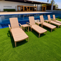 Brown Sunbed